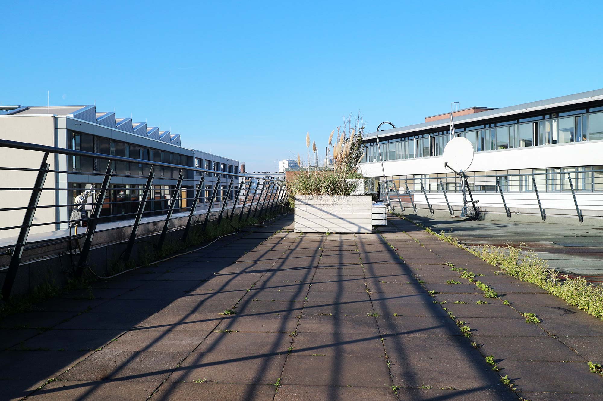 The roof terrace has a railing on both sides; the central area is a large open space; the floor of the terrace consists of black slabs covered by grasses on the right side; a flower box can be seen in the background; other office buildings can be seen on the right and left sides of the picture; the sky is bright blue