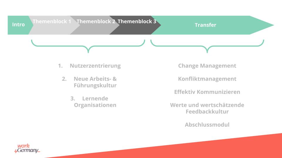 Zu sehen sind die Module des Weiterbildungsprogramms im Rahmen des Work4Germany Fellowships 2021. Die Module sind in drei vier Parts unterteilt. Nutzerzentrierung, Neue Arbeits- und Führungskultur, Lernende Organisation und einen Transferblock, der wiederum mehrere Module umfasst. Die Module, die unter den Themenblock Intransfer fallen sind: Change Management, Konfliktmanagement, effektiv kommunizieren, Werte und wertschätzende Feedbackkultur, Abschlussmodul. Zusätzlich gab es ein Intro Modul.